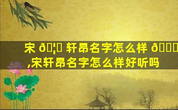 宋 🦄 轩昂名字怎么样 🐈 ,宋轩昂名字怎么样好听吗